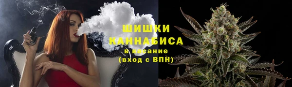 прущие грибы Арсеньев