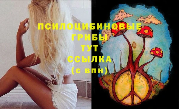 метадон Аркадак