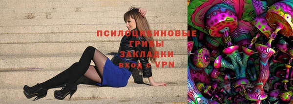 apvp Протвино