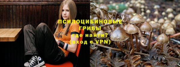 крисы Пролетарск