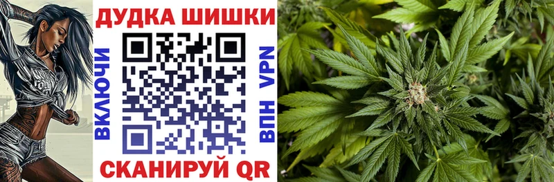 OMG сайт  Протвино  Бошки Шишки ГИДРОПОН 
